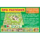 Про растения — развивающая игра