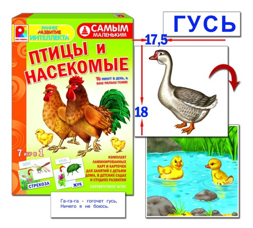 Птицы и насекомые — развивающая игра 7 в 1