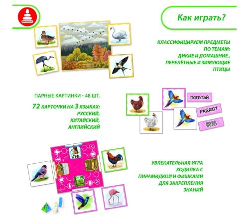 Найди пару - Птицы: познавательная игра