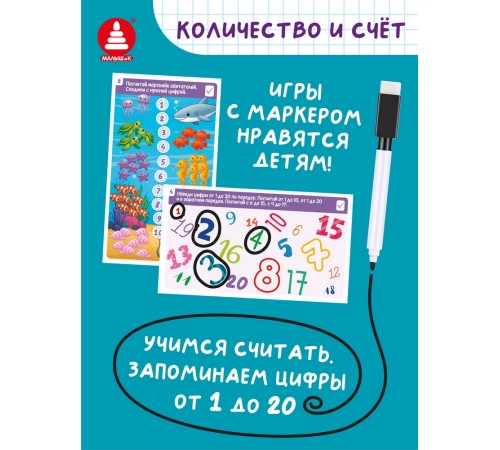 Игры с маркером. Математика. Тесты. Готов ли ребёнок к школе?